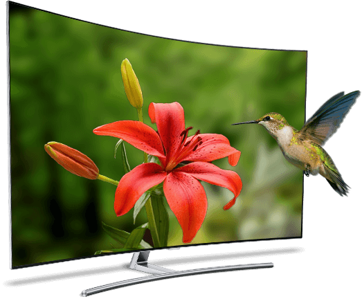 Fast, reliable Internet